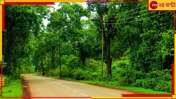 Jhargram: চিল্কিগড়-ঝাড়খণ্ড সড়ক বেহাল! সমস্যায় পড়ুয়া থেকে রোগী...