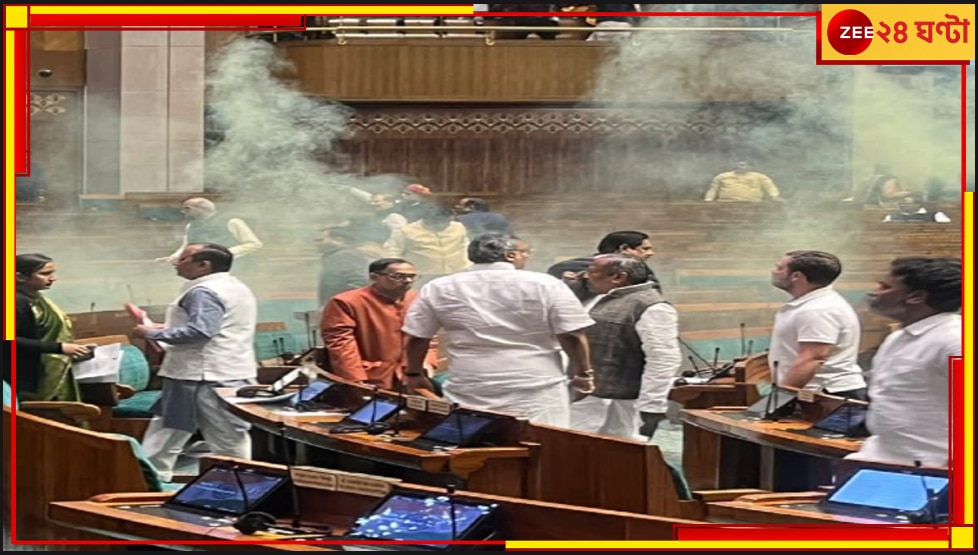 Parliament Attack: সংসদে হামলার সময়ও বুক চিতিয়ে দাঁড়িয়ে, নির্ভীক নেতা রাহুল!