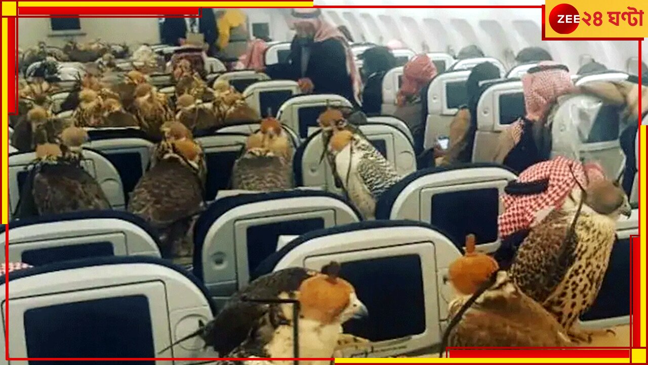 Saudi Prince Falcon: পোষ্য বাজপাখিদের জন্য কিনে ফেললেন বিমানের ৮০টি টিকিট, তুঘলকি কাণ্ড যুবরাজের