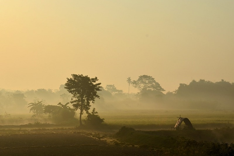 Winter in Bengal Update