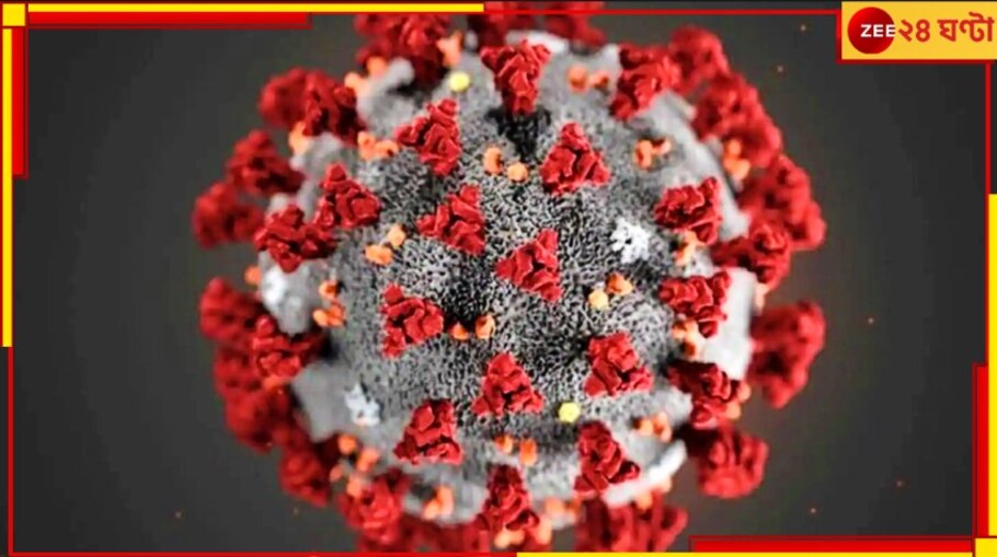 Covid in India: দেশে করোনার নতুন ভ্যারিয়েন্ট 'পিরোলা', তবে 'আতঙ্কের কিছু নেই'...