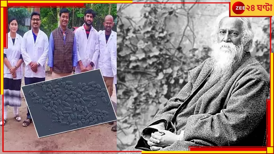 Visva Bharati University: কৃষির সহায়ক ‘উপকারী’ ব্যাকটেরিয়ার নামকরণ রবীন্দ্রনাথের নামে 