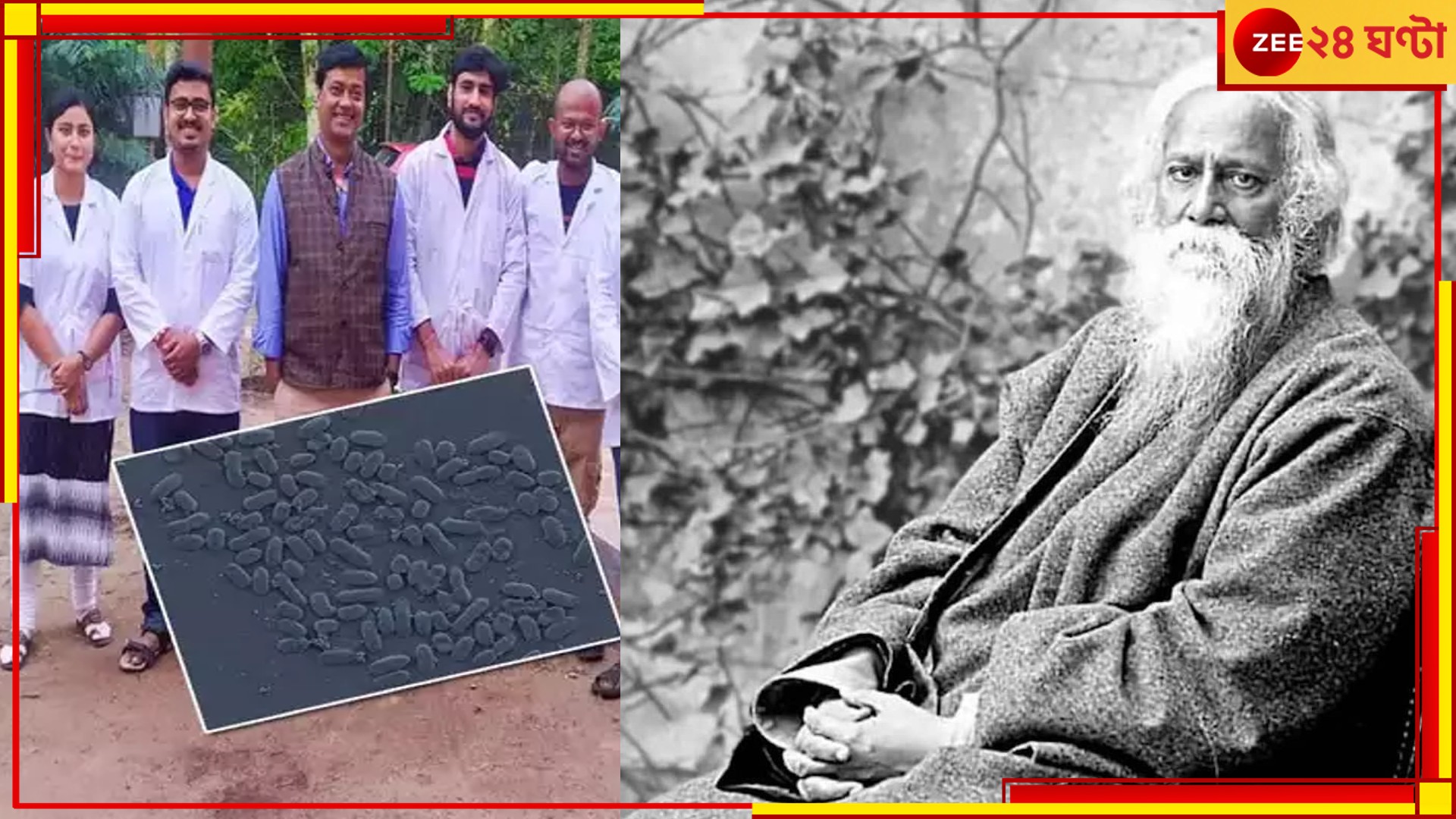 Visva Bharati University: কৃষির সহায়ক ‘উপকারী’ ব্যাকটেরিয়ার নামকরণ রবীন্দ্রনাথের নামে Visva Bharati University: কৃষির সহায়ক ‘উপকারী’ ব্যাকটেরিয়ার নামকরণ রবীন্দ্রনাথের নামে