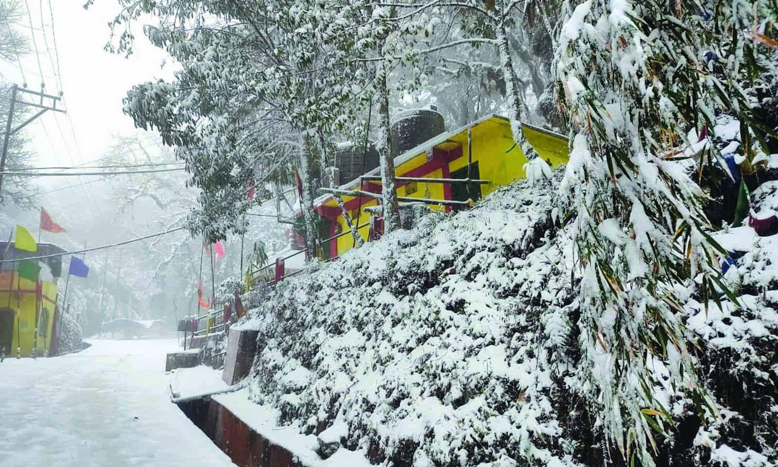 Snowfall in Darjeeling