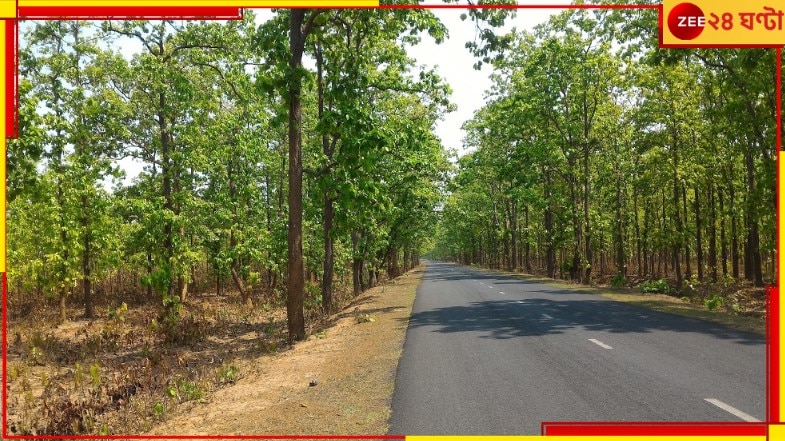 Jhargram: ঘন কুয়াশায় মোড়া সংক্রান্তির স্নান, পৌষমেলা, মোরগ লড়াই আর টুসু গান...