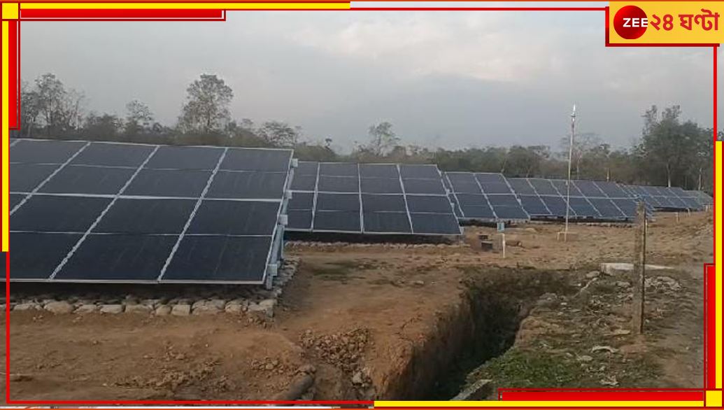Solar Panel: এশিয়ায় প্রথম, ৪ কোটি ব্যয়ে ডুয়ার্সের বৃহত্তম চা-বাগানে বসল সোলার প্যানেল!