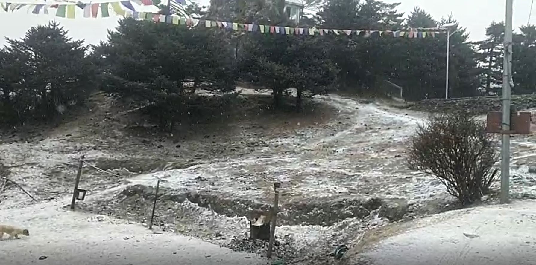 Darjeeling Snowfall