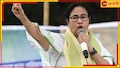 Mamata Banerjee: 'সিপিআইএম-এর সঙ্গে যারা ঘর করে, তাদের ক্ষমা করি না, একাই লড়ব'