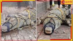কুমির ধরে দড়ি বেঁধে মন্দিরে! পুজো-পাঠের পর চলল সেলফি তোলার হিড়িক...