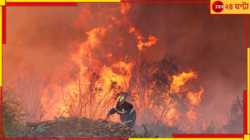 Chile Forest Fires: ভয়ংকর হিংস্র আগুনের স্রোত বইছে দেশ জুড়ে! মৃত্যু ১১২, নিখোঁজ অসংখ্য...