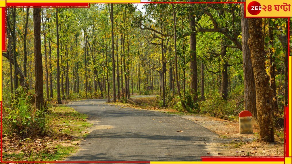 Durgapur: সুখবর! বাঁকুড়া-পুরুলিয়া-ঝাড়গ্রাম জুড়ে ১৫ টি নতুন রুটে চলবে বাস, উদ্বোধন মুখ্যমন্ত্রীর...