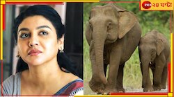 এবার হাতির ভালোবাসার টানে কোর্টে হাজির জয়া!