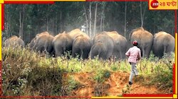 তিনদিনে ৩ জনের মৃত্যু! জঙ্গল থেকে রাতে বেরিয়ে এসে এলাকায় তাণ্ডব হাতির দলের...