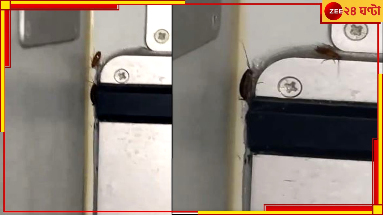 Cockroach in Flight: বিমানের ফুড এরিয়াতে ঘুরছে আরশোলা, ভিডিয়ো ভাইরাল হতেই নড়েচড়ে বসল বিমান সংস্থা
