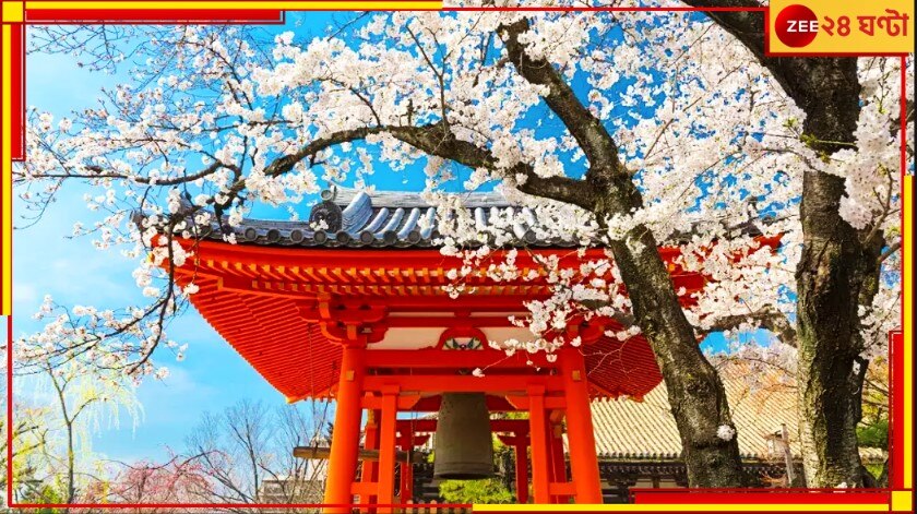 Japan: কী হবে অদূর ভবিষ্যতে? শিশু-জন্মহার আর বিয়ে নিয়ে অন্ধকার কিছুতেই কাটছে না সূর্যোদয়ের দেশে…