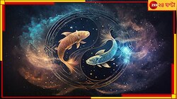 ২ মাস শেষ, কেমন যাবে মীন রাশির বাকি ১০ মাস? জেনে নিন