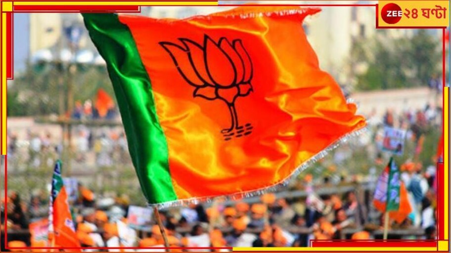 Loksabha Election 2024: আপ-কংগ্রেসের জোটের চাপ, জেতা ৭ আসনের সিংহভাগেই এবার বিজেপির নতুন মুখ! 