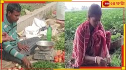 Paschim Medinipur:ভাঙাচোরা মাটির বাড়িত বাস গ্রামের প্রধানের, সবজি বিক্রেতা উপপ্রধান