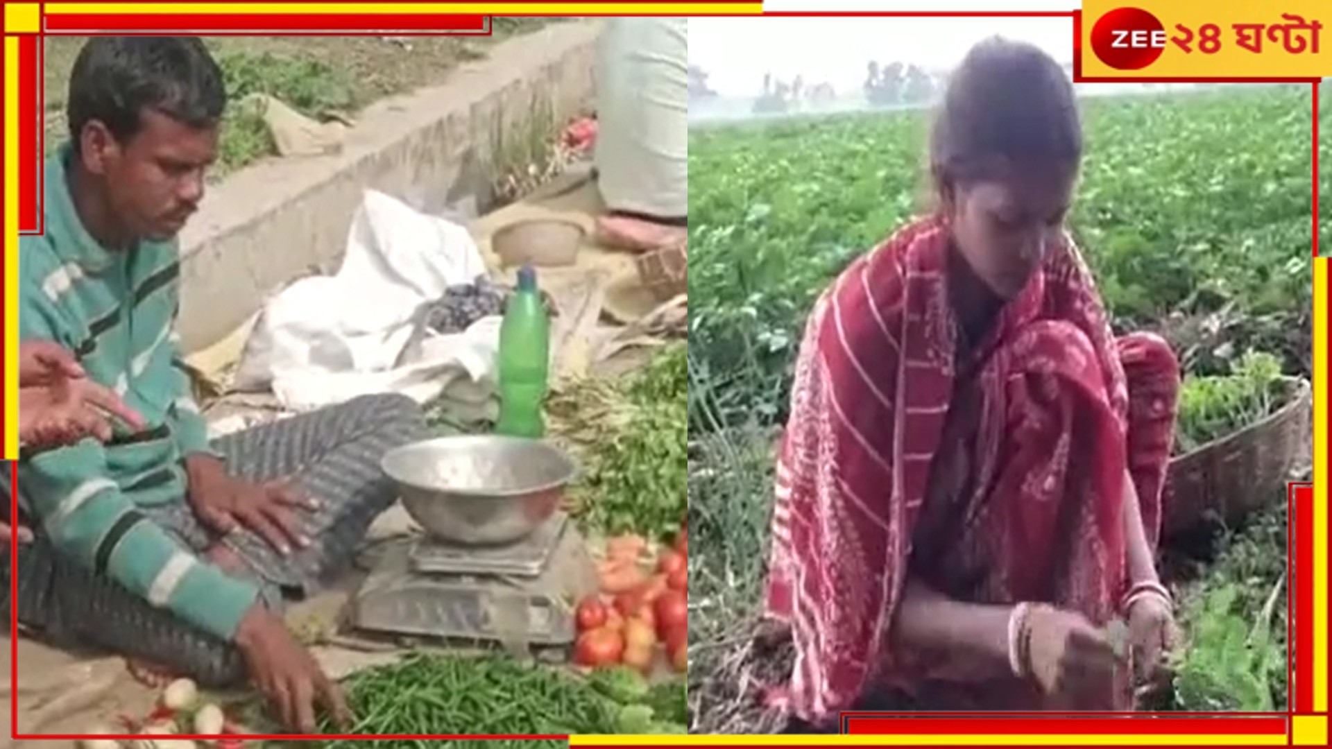 Paschim Medinipur: ভাঙাচোরা মাটির বাড়িত বাস গ্রামের প্রধানের, সবজি বিক্রেতা উপপ্রধান Paschim Medinipur: ভাঙাচোরা মাটির বাড়িত বাস গ্রামের প্রধানের, সবজি বিক্রেতা উপপ্রধান