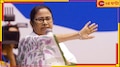 Mamata Banerjee: 'আমি দিদি নম্বর ১ নই, আমি বিশ্বের দিদি'...
