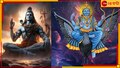 Maha Shivratri 2024: শিবরাত্রিতে শিবকে এ জিনিসটি দিয়ে পুজো করলে তুষ্ট হন স্বয়ং শনিদেবও! জেনে নিন বস্তুটির নাম...