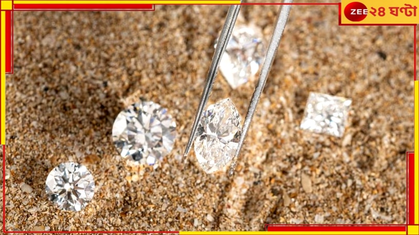 Diamonds In The Desert: হীরক রাজ্য হাতের মুঠোয়! মরুভূমিতে রাশি রাশি 'মহা' রত্নের চাষ…