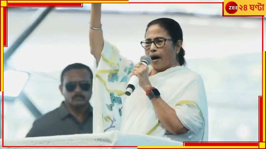 Mamata On CAA: 'সিএএতে দরখাস্ত করলেই অনুপ্রবেশকারী, ডিটেনশন ক্যাম্পে নিয়ে চলে যাবে'