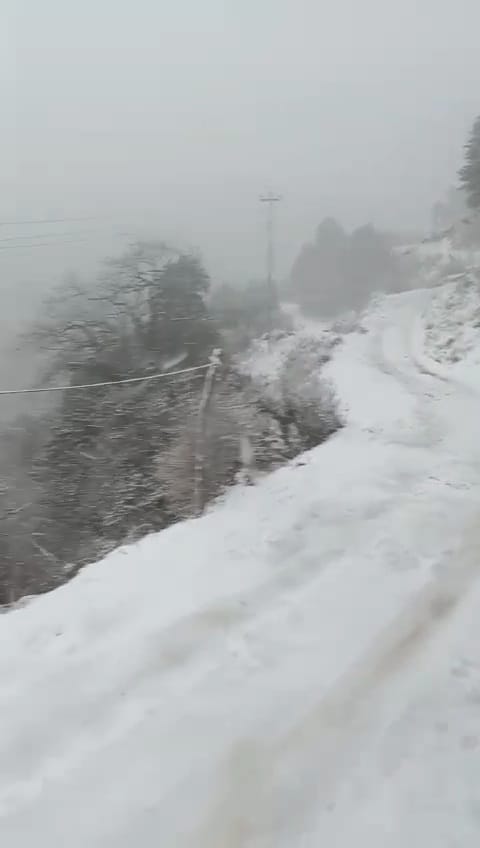 Darjeeling Snowfall