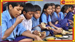 স্কুলের খাবারে টিকটিকি! তড়িঘড়ি হাসপাতালে ৩০ পড়ুয়া, তারপর...