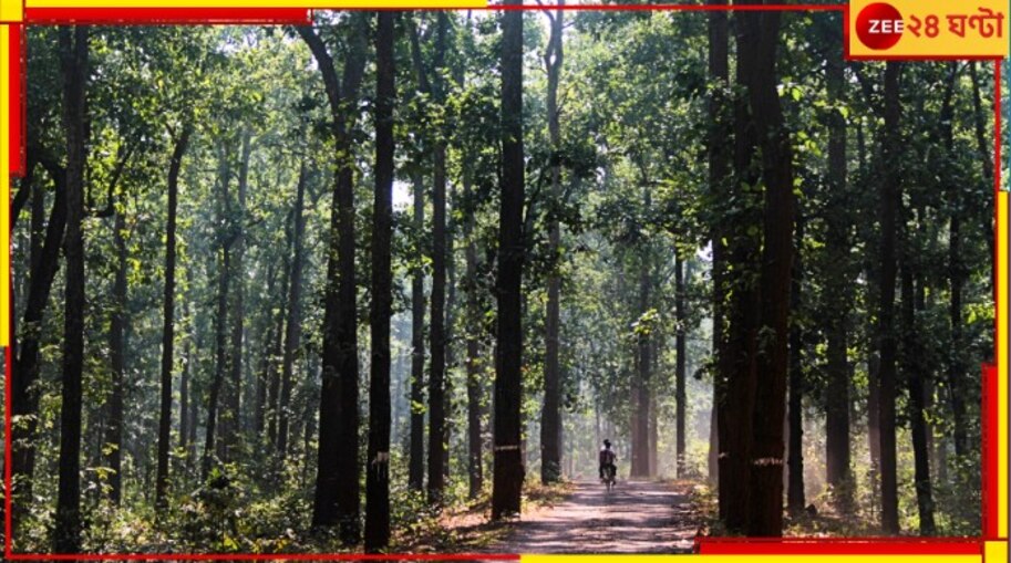 Chhattisgarh: ফের জঙ্গলে বারুদের গন্ধ! অপারেশন, গুলিবিনিময়, রক্ত; ৬ মাওবাদীর মৃত্যু...