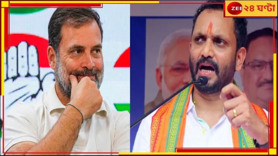 রাহুলের প্রতিদ্বন্ধী ২৪২ মামলার আসামি! কে এই বিজেপি নেতা? 