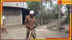 চিতাবাঘের মাথায় ঘুষি ৫০-এর প্রৌঢ়ের, তারপর...