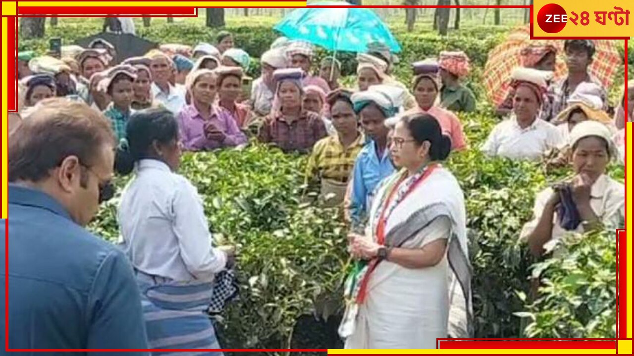 ‘কেউ বঞ্চিত হবেন না’, উত্তরবঙ্গে কর্মহীন চা-শ্রমিকদের সঙ্গে বৈঠক মুখ্য়মন্ত্রীর.. Mamata Banerjee visit a tea garden in North Bengal