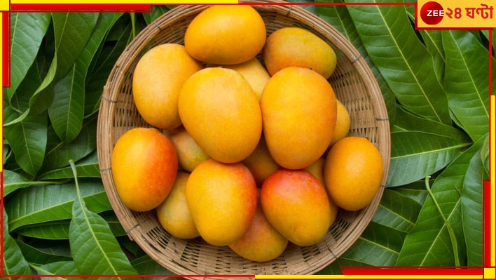 Mango Cultivation: মনকে শক্ত করুন, এবারে পাতে পাবেন না আম…