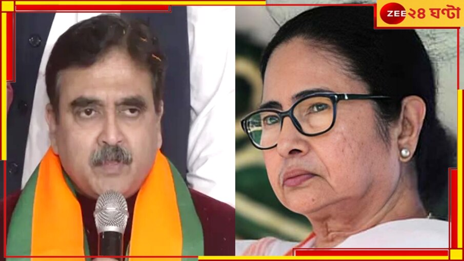 Mamata Banerjee| Abhijit Ganguly: 'মমতা এ দেশেরই নয়, তিনি রোহিঙ্গা!' মুখ্যমন্ত্রীকে বেনজির আক্রমণ অভিজিতের...