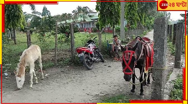 Malbazar: অজ্ঞাতবাস ছেড়ে মূর্তিতে স্বমূর্তিতে হাজির! আর হঠাৎই &#039;কালী&#039;-দর্শনে উল্লসিত পর্যটকদল...