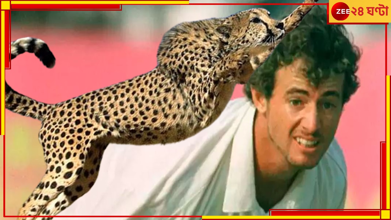 Leopard Attack On Cricketer: আচমকাই ঝাঁপিয়ে পড়ল চিতাবাঘ, বিশ্বকাপারকে করা হল এয়ারলিফ্ট, তারপর...!