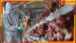 Bird Flu: সাবধান, দুয়ারে বার্ড ফ্লু! পুরুলিয়া, আসানসোল পেরিয়ে ঢুকে পড়ল বলে...