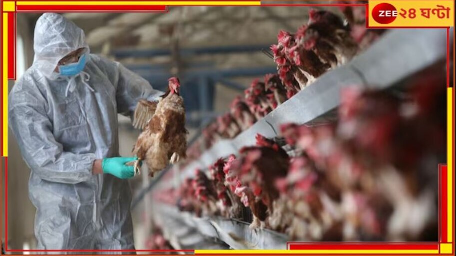 Bird Flu in Jharkhand: সাবধান, দুয়ারে বার্ড ফ্লু! পুরুলিয়া, আসানসোল পেরিয়ে ঢুকে পড়ল বলে...