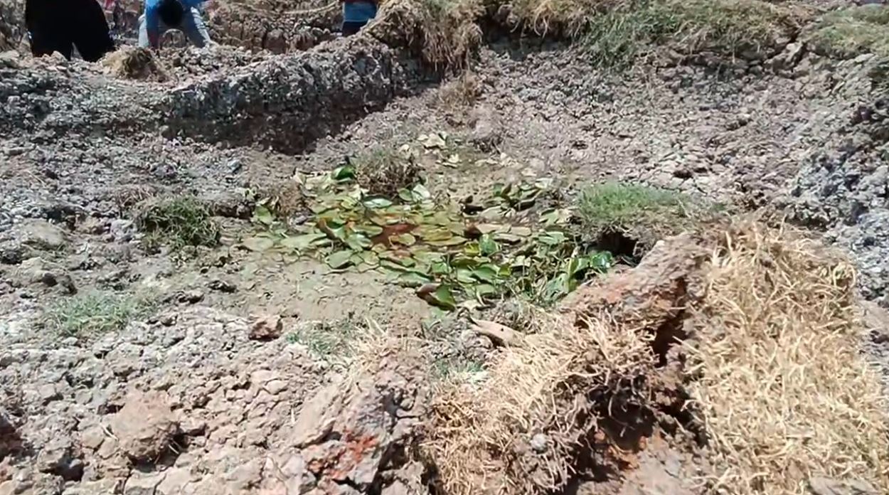 burdwan Red Water pond