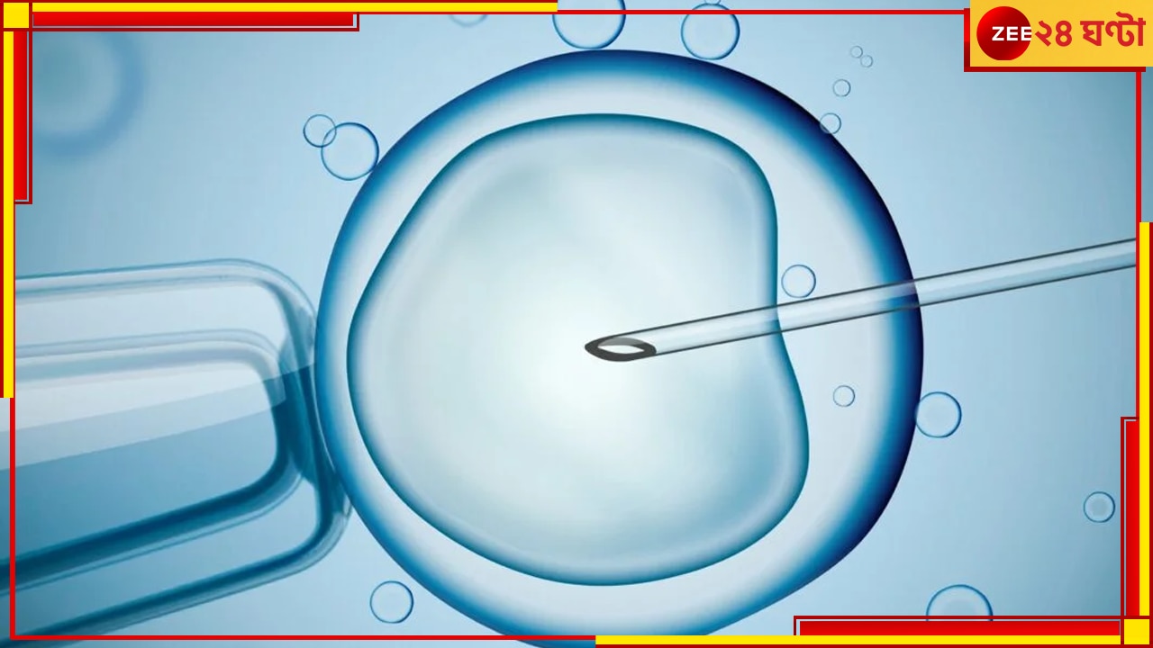 IVF: আইভিএফ পদ্ধতিতে সন্তান নেওয়ার অনুমতি চেয়েছিলেন বয়স্ক দম্পতি, গুরুত্বপূর্ণ রায় দিল হাইকোর্ট