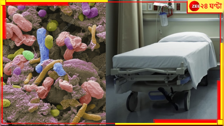 Superbugs: হাসপাতাল থেকে সদ্য ফিরেছেন? সাবধান! কী ভয়ংকর সব রোগের জীবাণু নিয়ে বাড়ি ঢুকলেন, জানেন তো?