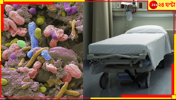 Superbugs: হাসপাতাল থেকে সদ্য ফিরেছেন? সাবধান! কী ভয়ংকর সব রোগের জীবাণু নিয়ে বাড়ি ঢুকলেন, জানেন তো? Superbugs: হাসপাতাল থেকে সদ্য ফিরেছেন? সাবধান! কী ভয়ংকর সব রোগের জীবাণু নিয়ে বাড়ি ঢুকলেন, জানেন তো?