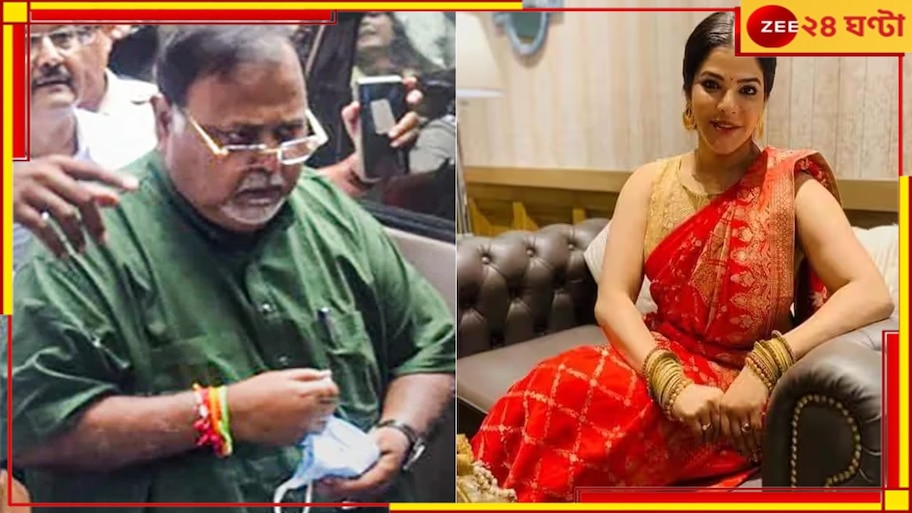 Partha Chatterjee: 'লাল জামা পরাটা কে!' আদালতেই দূর থেকে অর্পিতাকে দেখে খুনসুটি পার্থর