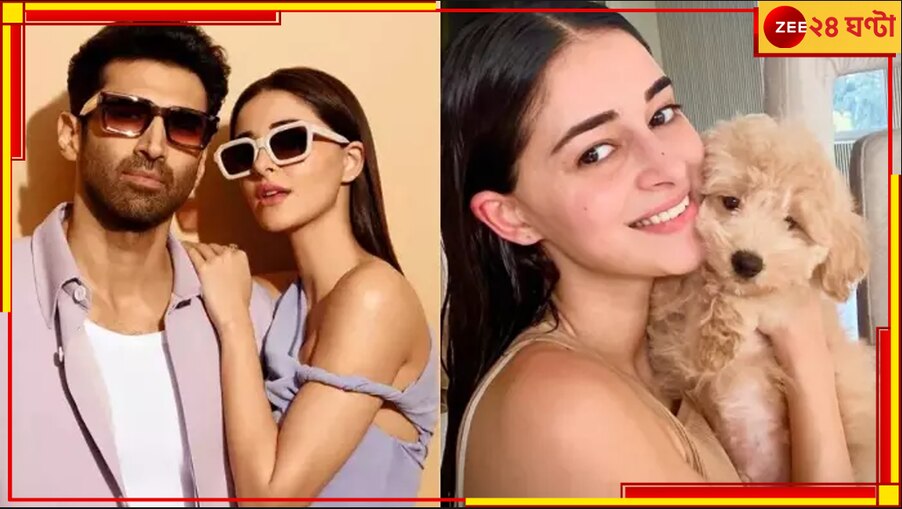 Ananya Panday-Aditya Roy Kapur: মার্চেই ভেঙেছে সম্পর্ক! আদিত্যকে ভুলতে কুকুরে ডুব অনন্যার...