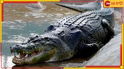 স্বামীর টানা গঞ্জনা, বিশেষভাবে সক্ষম ছেলেকে কুমীরভর্তি নদীতে ছুড়ে দিল মা