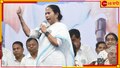 Mamata Banerjee: '১টা ভোট দেবেন, ২ টো কান মুলবেন'! বিজেপিকে তুলোধোনা মমতার...