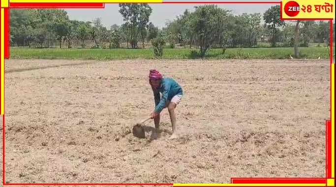 Dakshin Dinajpur: নদীতে জল নেই, বন্ধ সেচ, মাথায় হাত কৃষকদের! নতুন বাঁধের দাবি...