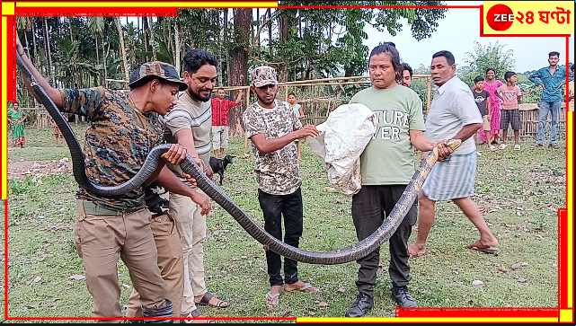 Malbazar: লোকালয় থেকে একের পর এক কিং কোবরা উদ্ধার হয়েই চলেছে! শঙ্কিত সাধারণ মানুষ... Malbazar: লোকালয় থেকে একের পর এক কিং কোবরা উদ্ধার হয়েই চলেছে! শঙ্কিত সাধারণ মানুষ...