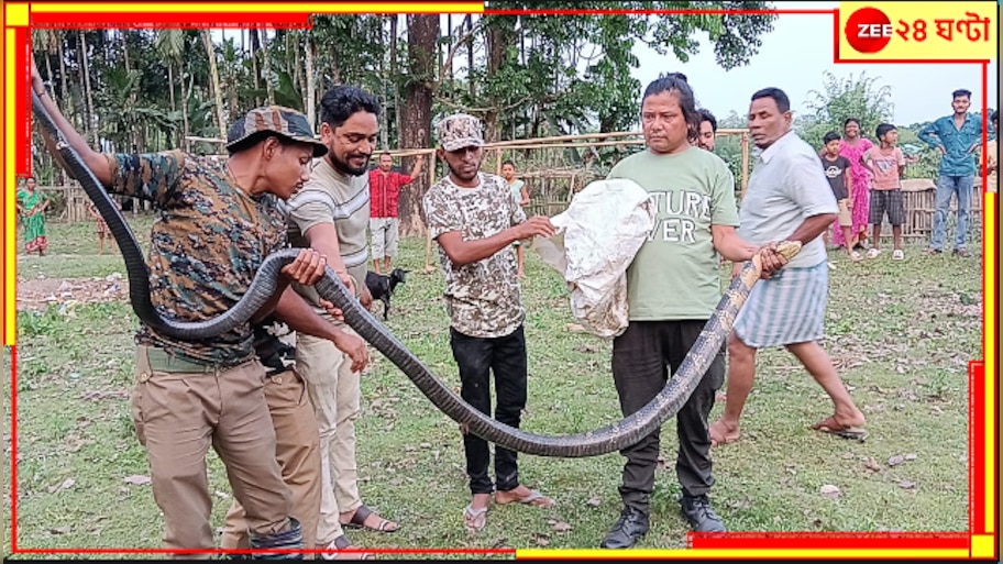 Malbazar: লোকালয় থেকে একের পর এক কিং কোবরা উদ্ধার হয়েই চলেছে! শঙ্কিত সাধারণ মানুষ...